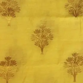 Chanderi Motifs