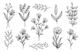 Minimal Floral
