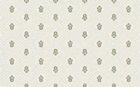 Buti Design Print