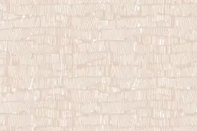 Texture