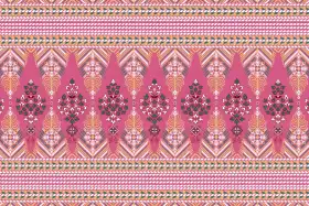 Patola Ikat Border Textile Pattern